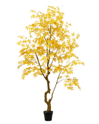Maple Tree (Faux) - Artificial Plant - 1838465397993508874 - 0 - Tumbleweed Plants - Online Plant Delivery Singapore