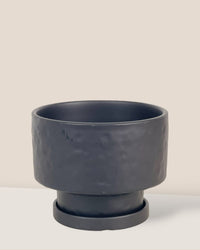 Medium Astra Pot - black - Pot - Tumbleweed Plants - Online Plant Delivery Singapore