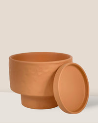 Medium Astra Pot - brown - Pot - Tumbleweed Plants - Online Plant Delivery Singapore
