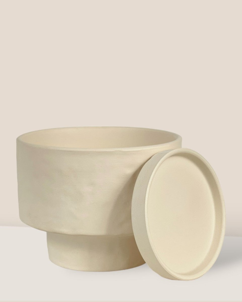 Medium Astra Pot - cream - Pot - Tumbleweed Plants - Online Plant Delivery Singapore