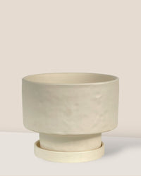 Medium Astra Pot - cream - Pot - Tumbleweed Plants - Online Plant Delivery Singapore