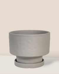 Medium Astra Pot - grey - Pot - Tumbleweed Plants - Online Plant Delivery Singapore