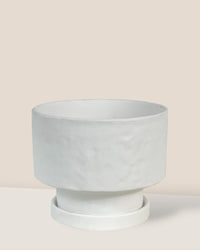 Medium Astra Pot - white - Pot - Tumbleweed Plants - Online Plant Delivery Singapore