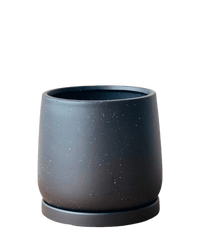 Medium Tulip Pot with Tray - Pots - POTS - MEDI - BLC - 6511 - Tumbleweed Plants - Online Plant Delivery Singapore