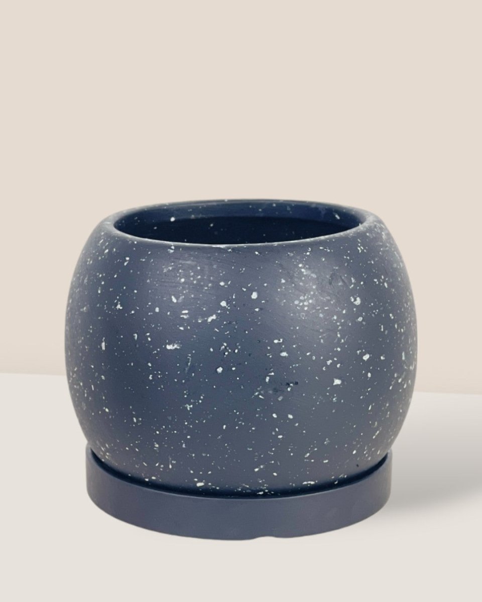 Mini Nala Planter - brown - Pot - Tumbleweed Plants - Online Plant Delivery Singapore