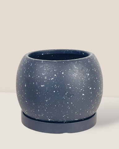 Nala Planter - Medium - standard with tray / 17cm / Black