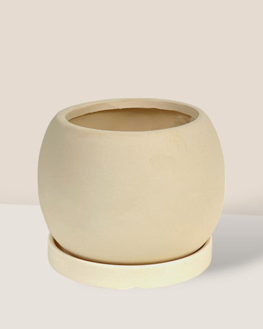 Nala Planter - Medium - standard with tray / 17cm / White Terracotta