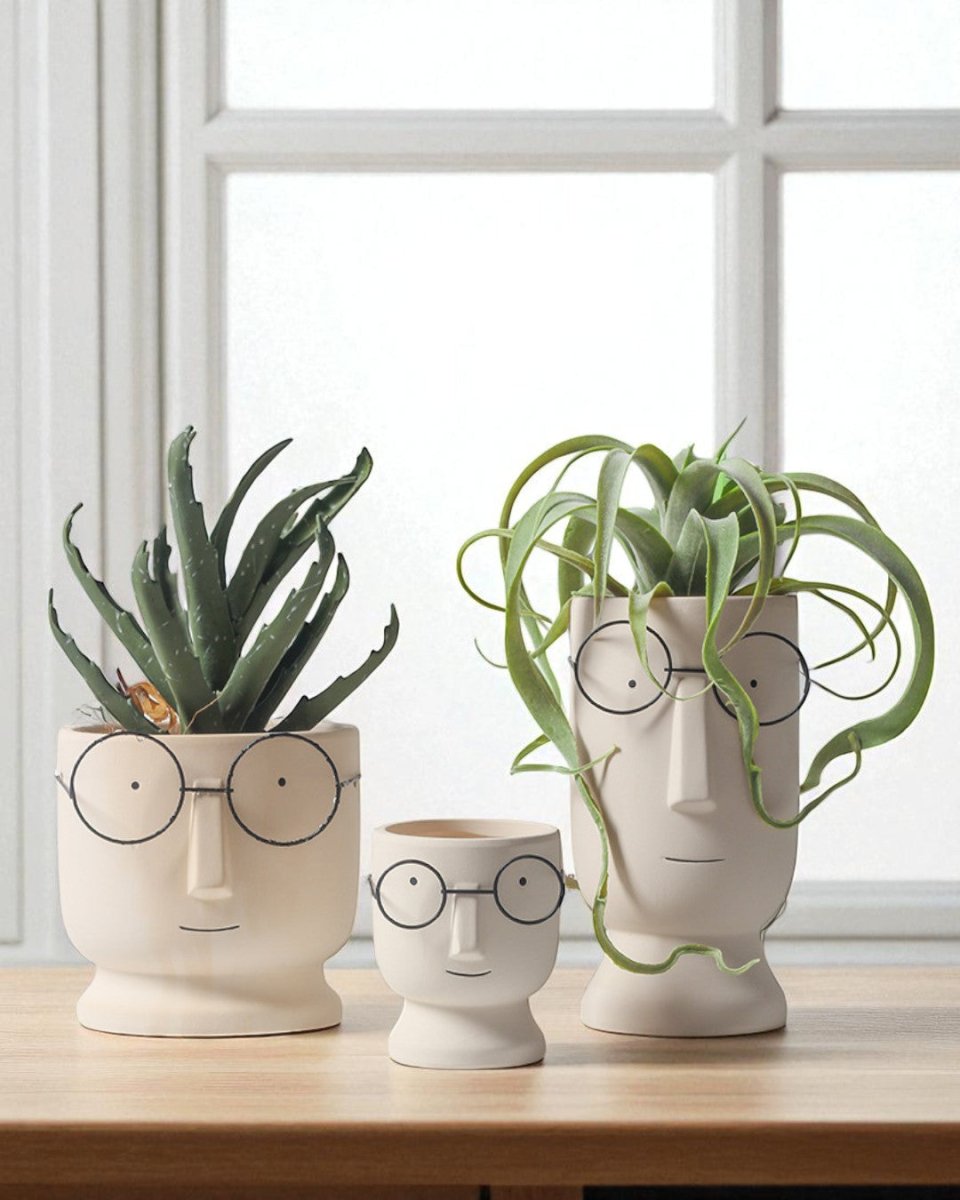 Mister Planter - Medium - Planter - 4853615088149 - Tumbleweed Plants - Online Plant Delivery Singapore