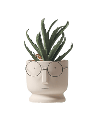 Mister Planter - Medium - Planter - 4853615088149 - Tumbleweed Plants - Online Plant Delivery Singapore