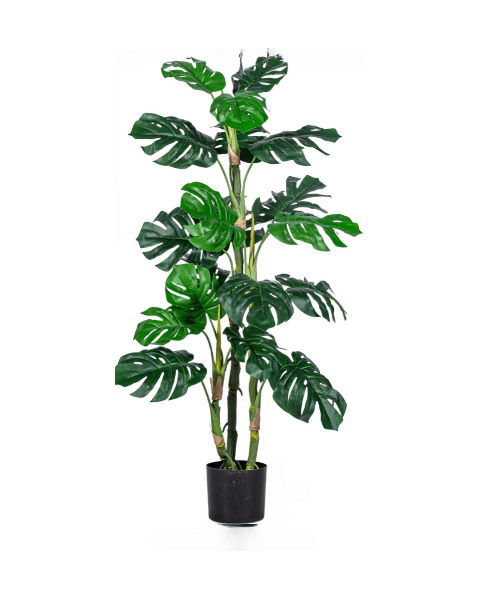Monstera Tree (Life - life Artificial) - Potted plant - 5148161961593 - Tumbleweed Plants - Online Plant Delivery Singapore