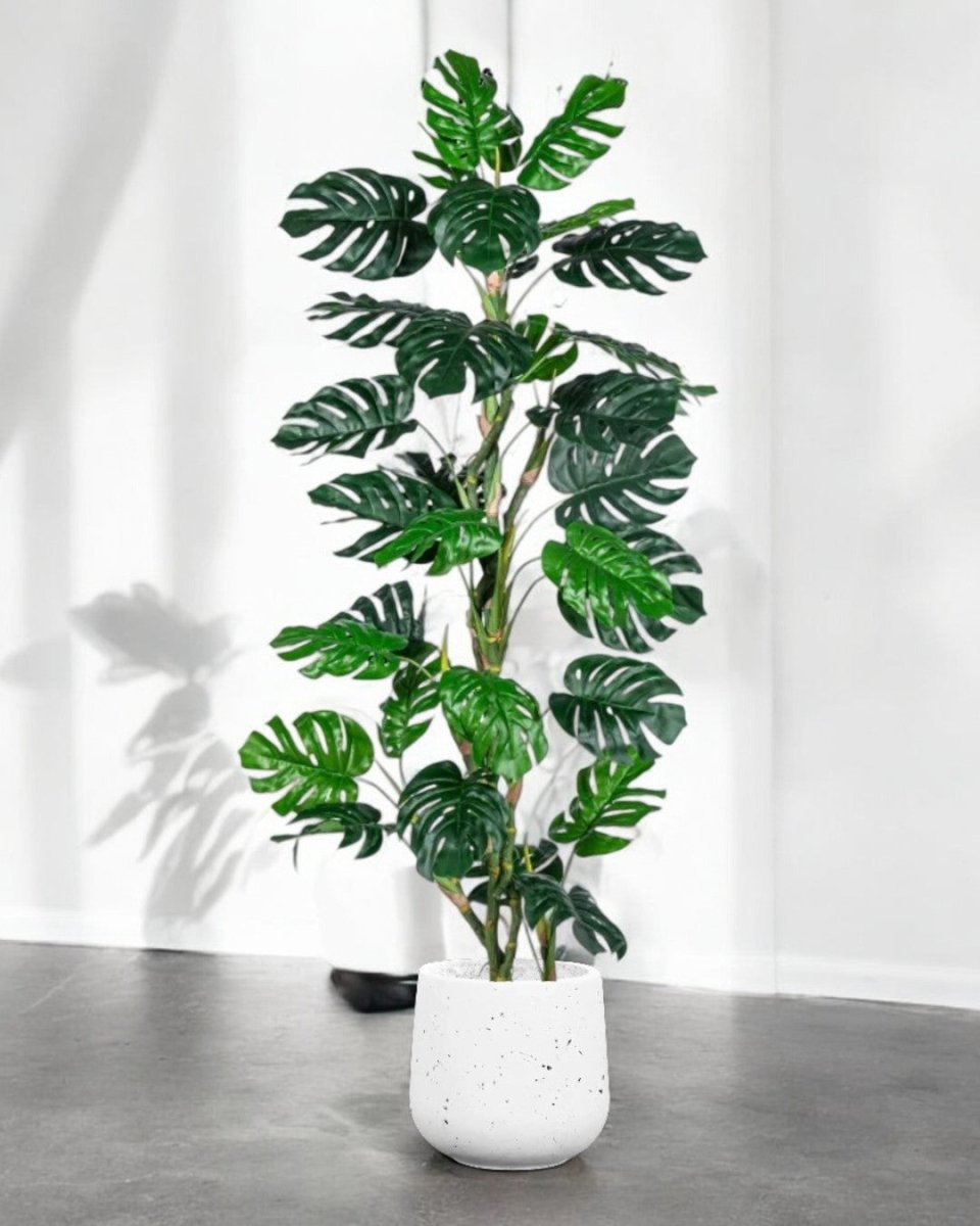 Monstera Tree (Life - life Artificial) - Potted plant - 5148161961593 - Tumbleweed Plants - Online Plant Delivery Singapore