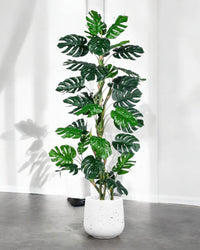 Monstera Tree (Life - life Artificial) - Potted plant - 5148161961593 - Tumbleweed Plants - Online Plant Delivery Singapore
