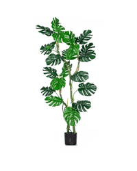 Monstera Tree (Life - life Artificial) - Potted plant - 5148161961598 - Tumbleweed Plants - Online Plant Delivery Singapore