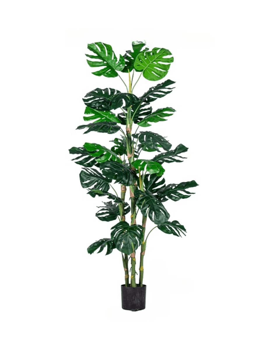 Monstera Tree (Life - life Artificial) - Potted plant - 5148161961603 - Tumbleweed Plants - Online Plant Delivery Singapore