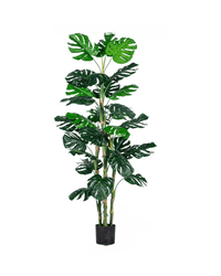 Monstera Tree (Life - life Artificial) - Potted plant - 5148161961603 - Tumbleweed Plants - Online Plant Delivery Singapore