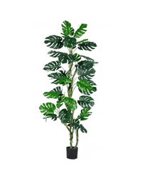 Monstera Tree (Life - life Artificial) - Potted plant - 5148161961608 - Tumbleweed Plants - Online Plant Delivery Singapore