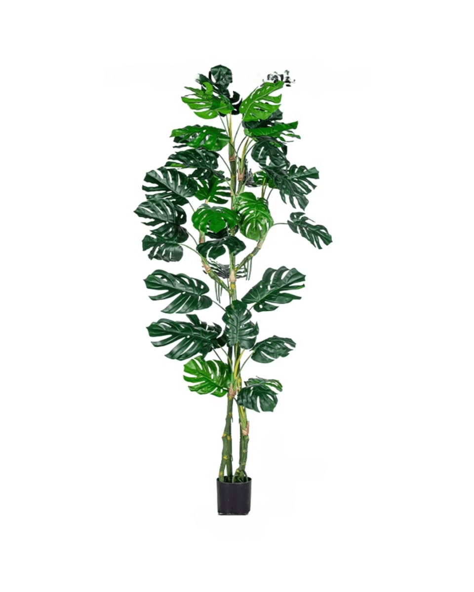 Monstera Tree (Life - life Artificial) - Potted plant - 5148161961612 - Tumbleweed Plants - Online Plant Delivery Singapore