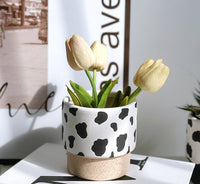 Moo Planter - Planter - 5450188746512 - Tumbleweed Plants - Online Plant Delivery Singapore