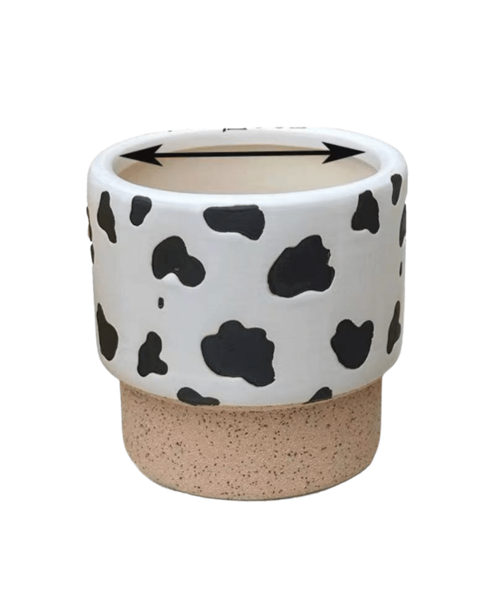 Moo Planter - Planter - 5450188746512 - Tumbleweed Plants - Online Plant Delivery Singapore