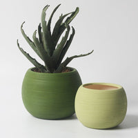 Nala Curves Planter - Medium - Planter - 5481511057788 - Tumbleweed Plants - Online Plant Delivery Singapore