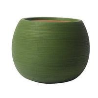 Nala Curves Planter - Medium - Planter - 5481511057809 - Tumbleweed Plants - Online Plant Delivery Singapore