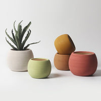Nala Curves Planter - Medium - Planter - 5481511057788 - Tumbleweed Plants - Online Plant Delivery Singapore