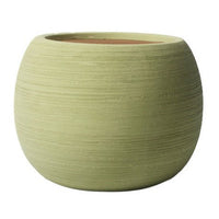 Nala Curves Planter - Medium - Planter - 5481511057791 - Tumbleweed Plants - Online Plant Delivery Singapore
