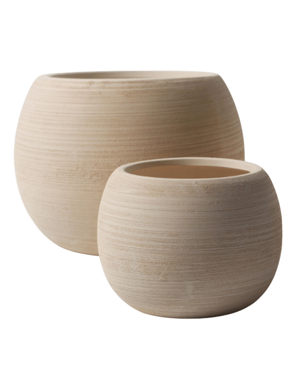 Nala Curves Planter - Medium - Planter - 5481511057788 - Tumbleweed Plants - Online Plant Delivery Singapore
