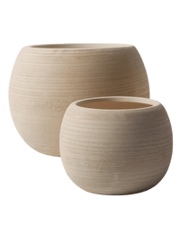 Nala Curves Planter - Medium - Planter - 5481511057788 - Tumbleweed Plants - Online Plant Delivery Singapore