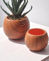 Nala Wood Planter - Medium - Planter - 5004049135259 - Tumbleweed Plants - Online Plant Delivery Singapore