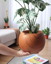 Nala Wood Planter - Medium - Planter - 5004049135259 - Tumbleweed Plants - Online Plant Delivery Singapore