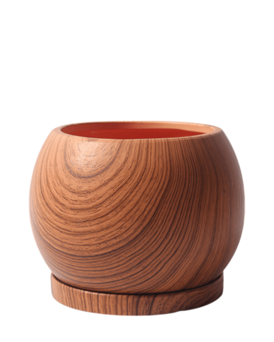 Nala Wood Planter - Medium - Planter - 5004049135259 - Tumbleweed Plants - Online Plant Delivery Singapore