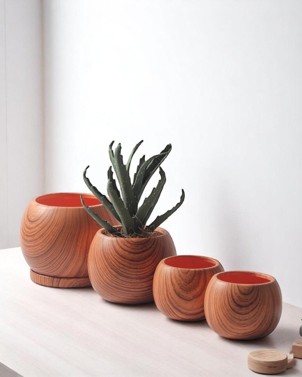 Nala Wood Planter - Medium - Planter - 5004049135259 - Tumbleweed Plants - Online Plant Delivery Singapore