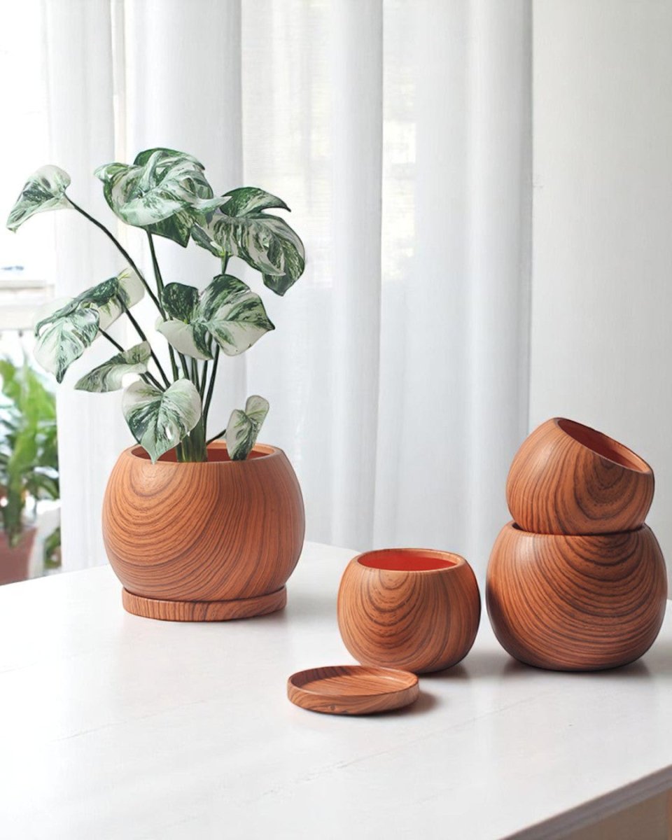 Nala Wood Planter - Medium - Planter - 5004049135259 - Tumbleweed Plants - Online Plant Delivery Singapore