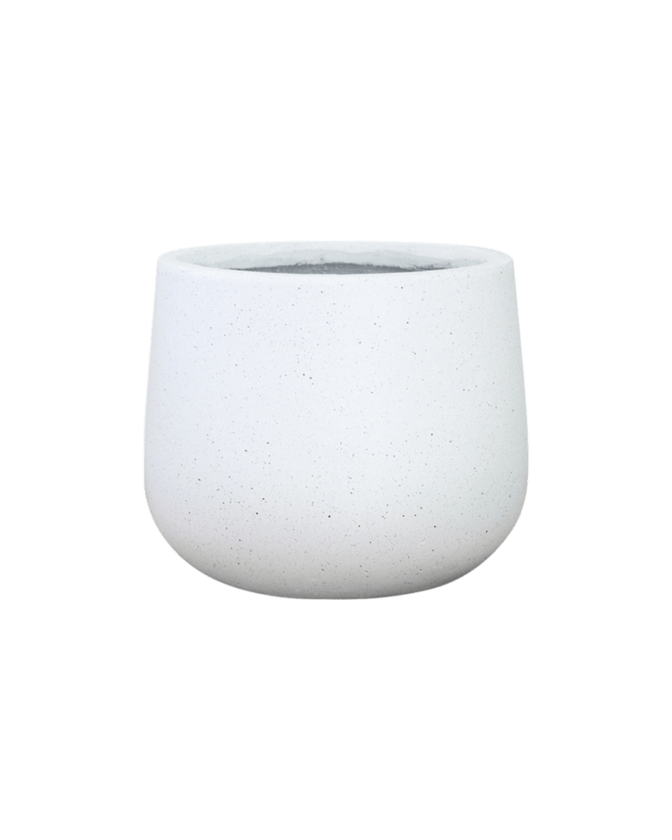 Nova Planter (Large) - Pots - 4754535109640 - Tumbleweed Plants - Online Plant Delivery Singapore
