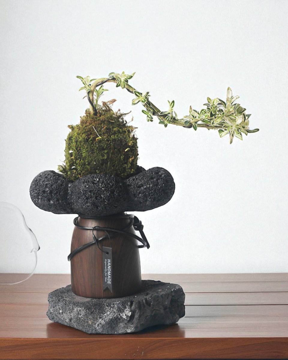 Obsidian Planters - Planter - 5915571891817 - Tumbleweed Plants - Online Plant Delivery Singapore