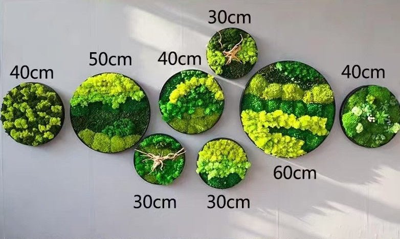 Orb Green - Preserved Plants: MOSS. - Moss Frame - 5816374869890 - Tumbleweed Plants - Online Plant Delivery Singapore