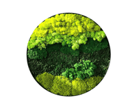 Orb Green - Preserved Plants: MOSS. - Moss Frame - 5816374869892 - Tumbleweed Plants - Online Plant Delivery Singapore