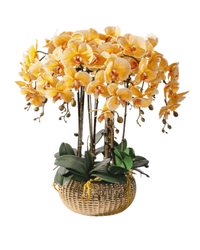 Orchid Arrangement (Faux) - Artificial Plant - 1838465441371127818 - 0 - Tumbleweed Plants - Online Plant Delivery Singapore