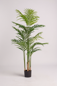 Bamboo Palm (Life-life Artificial) - Potted plant -  Tumbleweed Plants