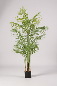 Bamboo Palm (Life-life Artificial) - Potted plant -  Tumbleweed Plants