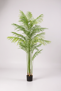 Bamboo Palm (Life-life Artificial) - Potted plant -  Tumbleweed Plants