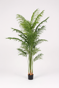 Bamboo Palm (Life-life Artificial) - Potted plant -  Tumbleweed Plants