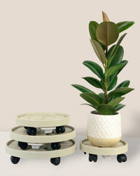 Plant Tray Trolley (Cream) - 25cm - Tray - Tumbleweed Plants - Online Plant Delivery Singapore