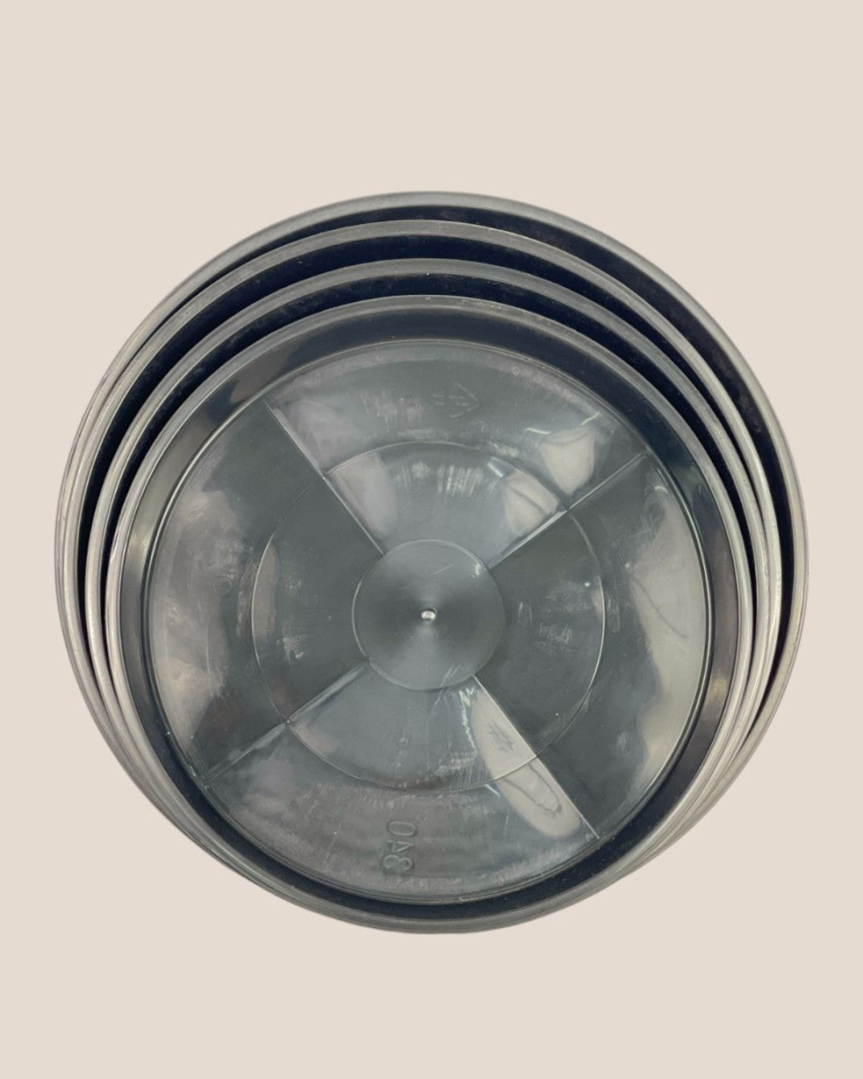 Plastic Tray (Black) - 16.5cm - Tray - Tumbleweed Plants - Online Plant Delivery Singapore