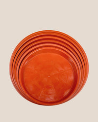 Plastic Tray (Brown) - 16.5cm - Tray - Tumbleweed Plants - Online Plant Delivery Singapore