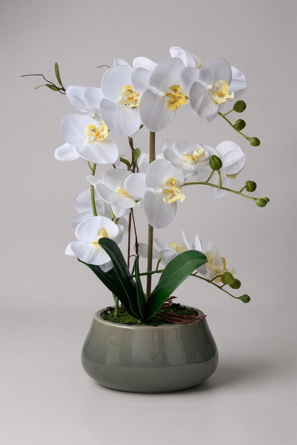 Abundance Royal Phalaenopsis - (Life-like Artificial) - Plant Arrangement -  Tumbleweed Plants