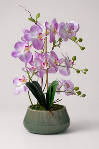 Abundance Royal Phalaenopsis - (Life-like Artificial) - Plant Arrangement -  Tumbleweed Plants