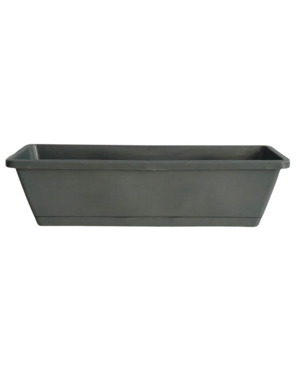 Rectangle Plastic Planter Box - Planter - 5991869643667 - Tumbleweed Plants - Online Plant Delivery Singapore