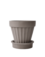 Rib Planter
